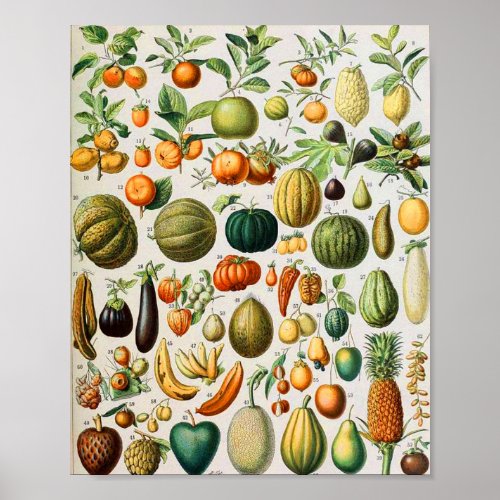 Adolphe Millot fruits B Poster
