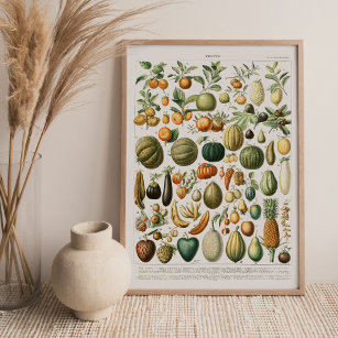 Adolphe Millot Fruits Canvas Print