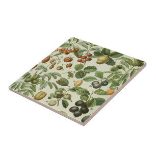 Adolphe Millot - Fruits Ceramic Tile