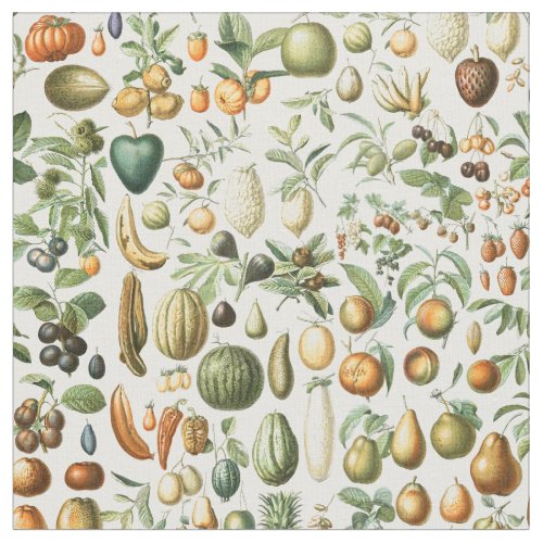 Adolphe Millot Fruits Fabric