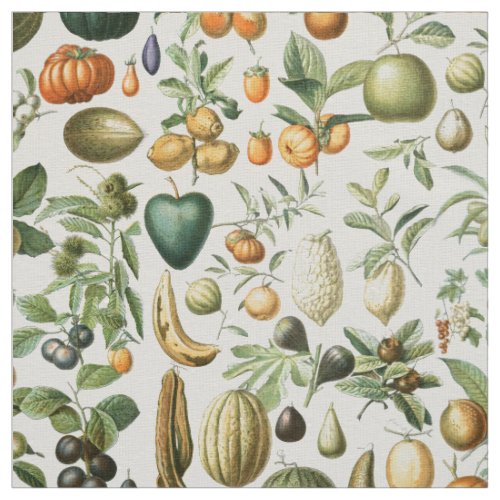 Adolphe Millot Fruits Fabric