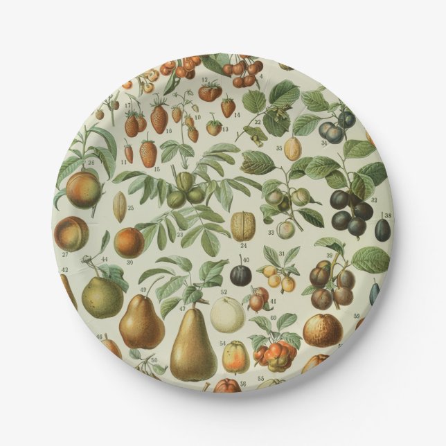 Adolphe Millot - Fruits Paper Plates (Front)