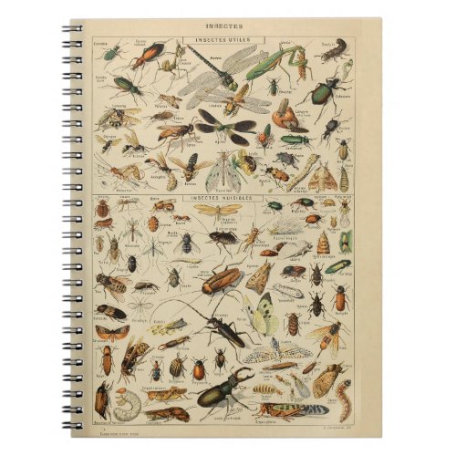 Adolphe Millot Insects Pattern_A Notebook