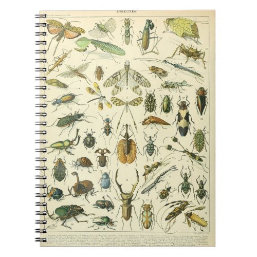 Adolphe Millot Insects Pattern_B Notebook