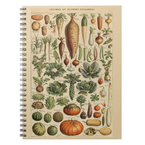 Adolphe Millot legume  plante potageres_1 Pattern Notebook