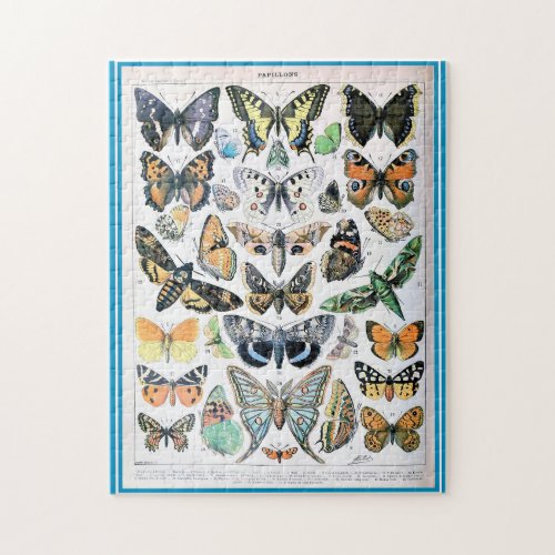 Adolphe Millot List of Butterflies Jigsaw Puzzle