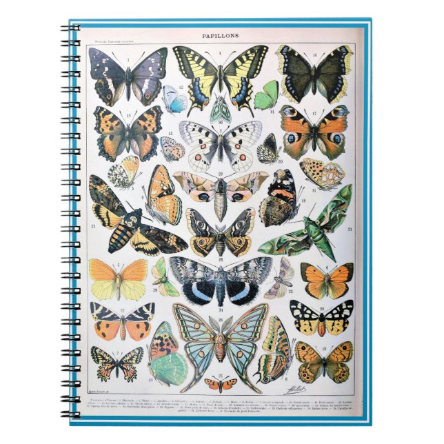 Adolphe Millot List of Butterflies Notebook (Front)