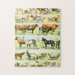 Adolphe Millot mammals D Jigsaw Puzzle
