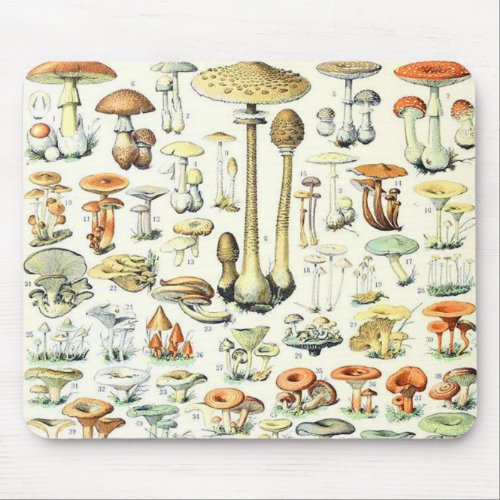 Adolphe Millot mushroom B Mouse Pad