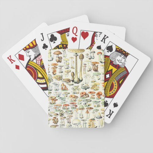 Adolphe Millot mushroom B Playing Cards
