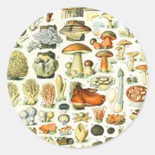 Adolphe Millot mushroom Classic Round Sticker