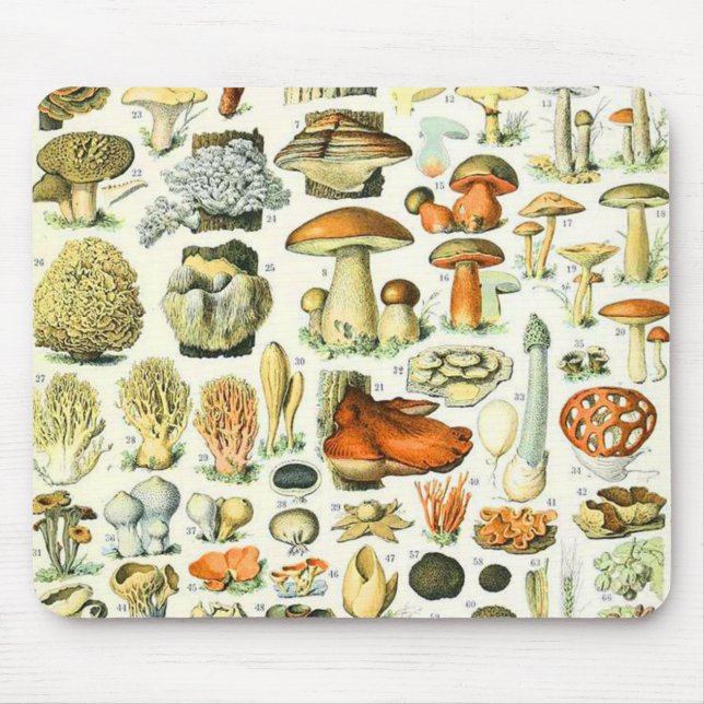 Adolphe Millot mushroom Mouse Pad (Front)