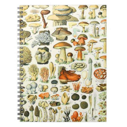 Adolphe Millot mushroom Notebook