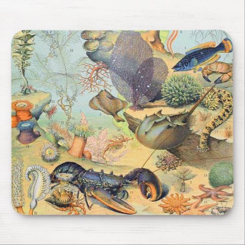 Adolphe Millot ocean B Mouse Pad