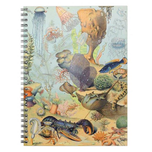Adolphe Millot ocean B Notebook
