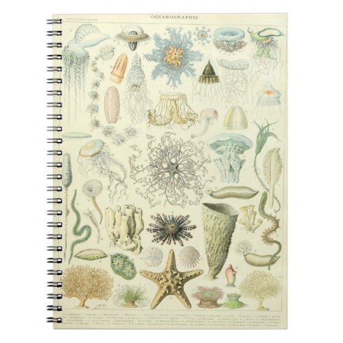 Adolphe Millot Oceanography Pattern_A Notebook