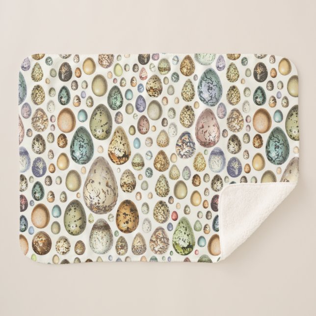 Adolphe Millot Ouefs Eggs Sherpa Blanket (Front (Horizontal))