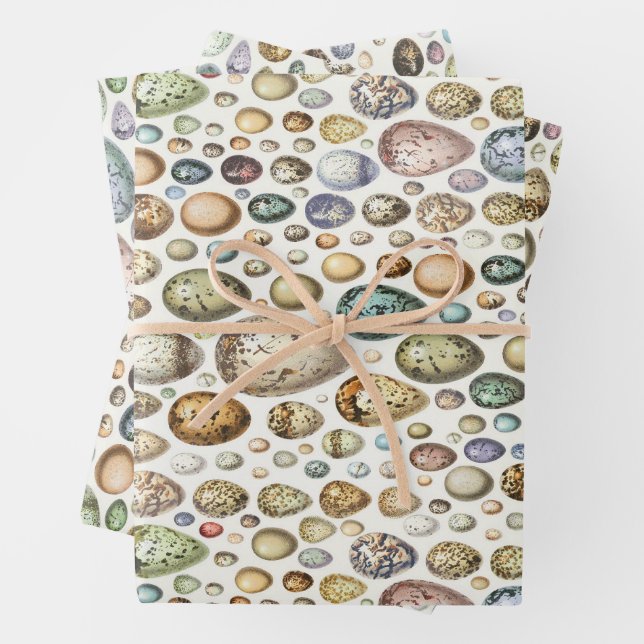 Adolphe Millot Ouefs Eggs Wrapping Paper Sheets (In situ)