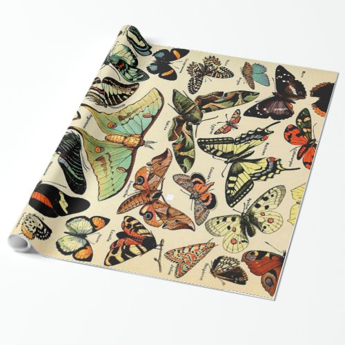 Adolphe Millot Papillons Wrapping Paper