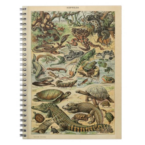 Adolphe Millot Reptile Pattern Notebook