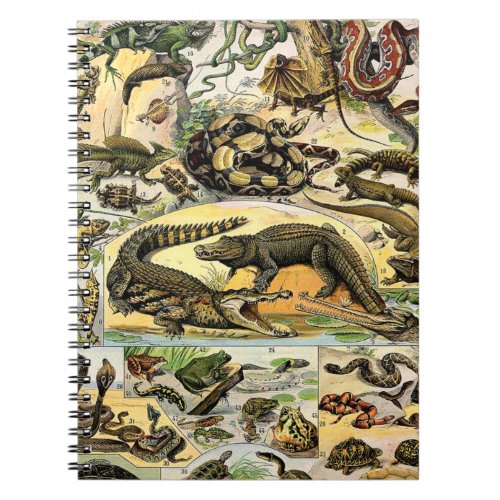 Adolphe Millot Reptiles 1 Notebook