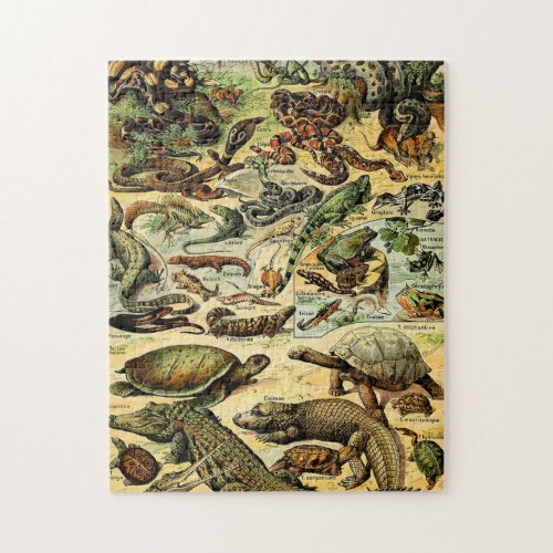 Adolphe Millot Reptiles 2 Jigsaw Puzzle