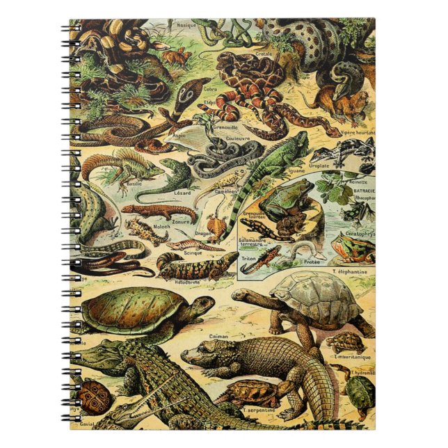 Adolphe Millot Reptiles 2 Notebook (Front)