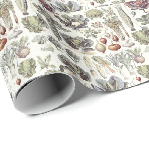 Adolphe Millot Vegetable Pattern Wrapping Paper