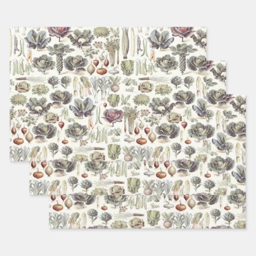 Adolphe Millot Vegetable Pattern Wrapping Paper Sh