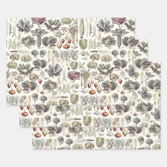 Adolphe Millot Vegetable Pattern Wrapping Paper Sh (Set)