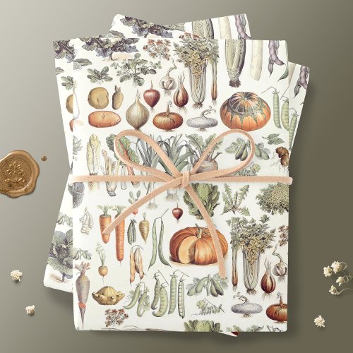 Adolphe Millot Vegetable Pattern Wrapping Paper Sh