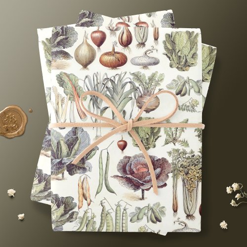 Adolphe Millot Vegetable Pattern Wrapping Paper Sheets