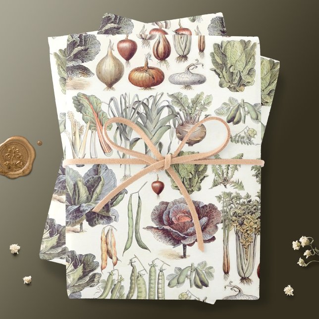 Adolphe Millot Vegetable Pattern Wrapping Paper Sheets (Creator Uploaded)