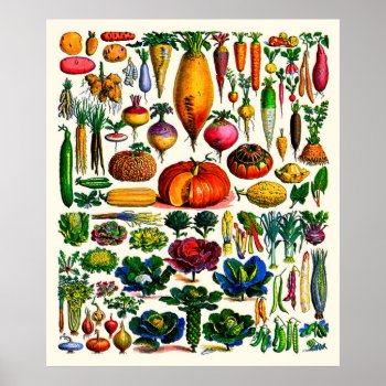 Adolphe Millot ~ Vegetables Poster by OldArtReborn at Zazzle