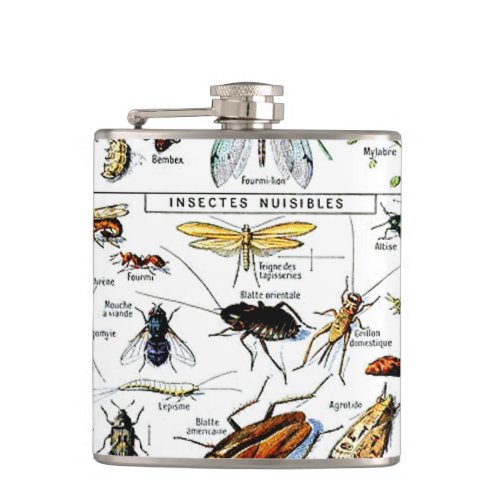 Adolphe Millots Insectes Flask