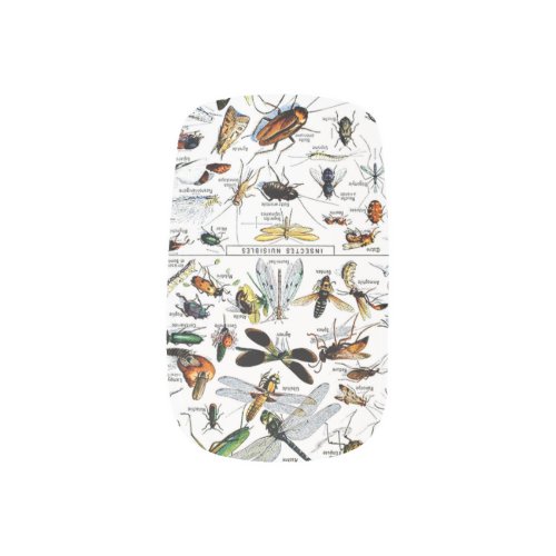 Adolphe Millots Insectes Minx Nail Art