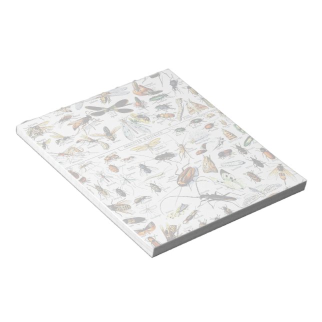 Adolphe Millot's Insectes Notepad (Angled)