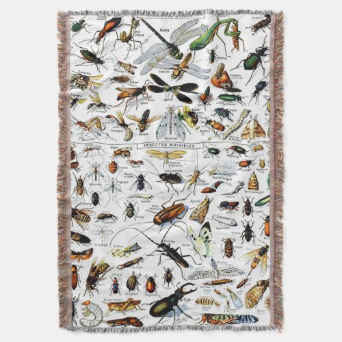 Adolphe Millots Insectes Throw Blanket