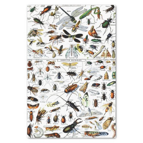Adolphe Millots Insectes Tissue Paper