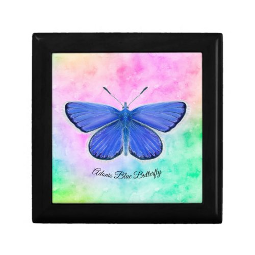 Adonis Blue Butterfly Magnetic Wooden Gift Box