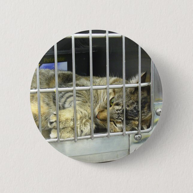 Adopt A Cat Button 001 (Front)