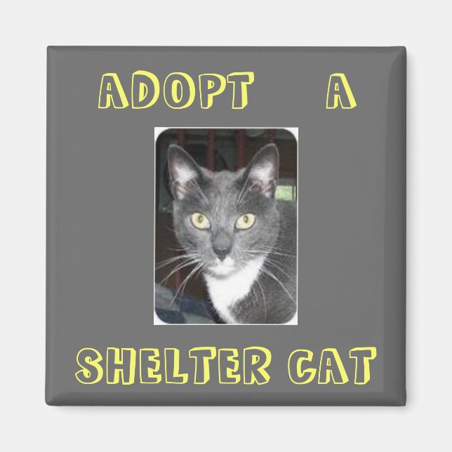Adopt A Cat Magnet (Front)