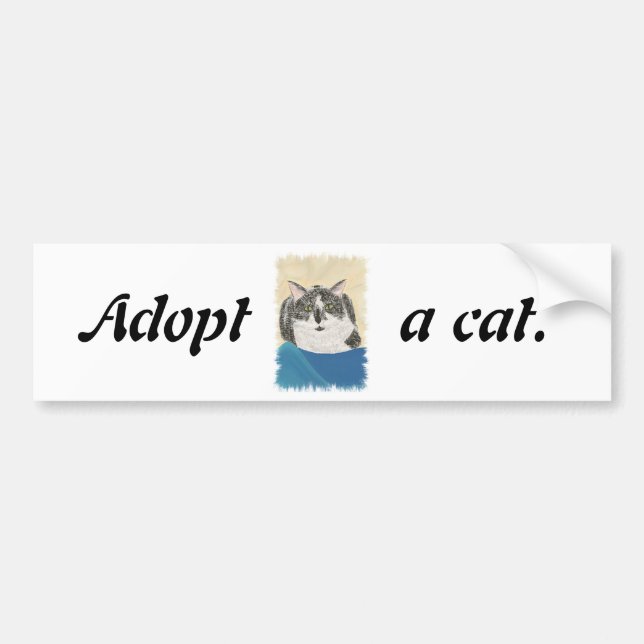 Adopt a cat promotion bumper stickers (Front)