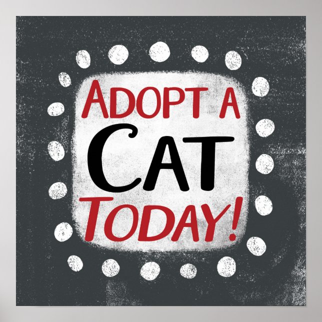 Adopt A Cat Today Poster Wall Art (Front)