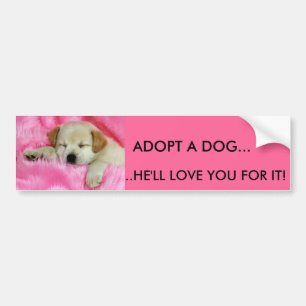 ADOPT A DOG BUMPER STICKER - Customized