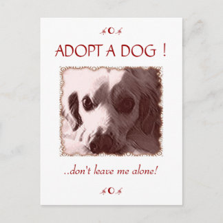 Adopt a Dog Postcard