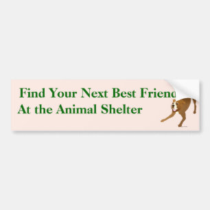 Adopt A Friend Bumper Sticker 17
