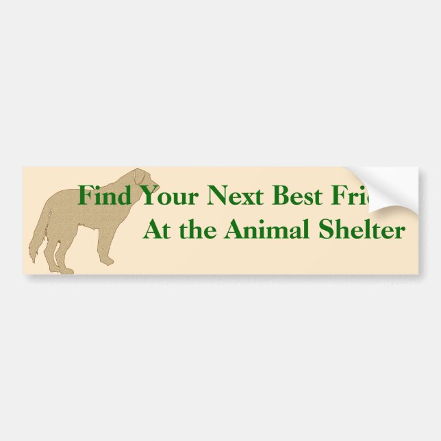 Adopt A Friend Bumper Sticker 4 (Front)