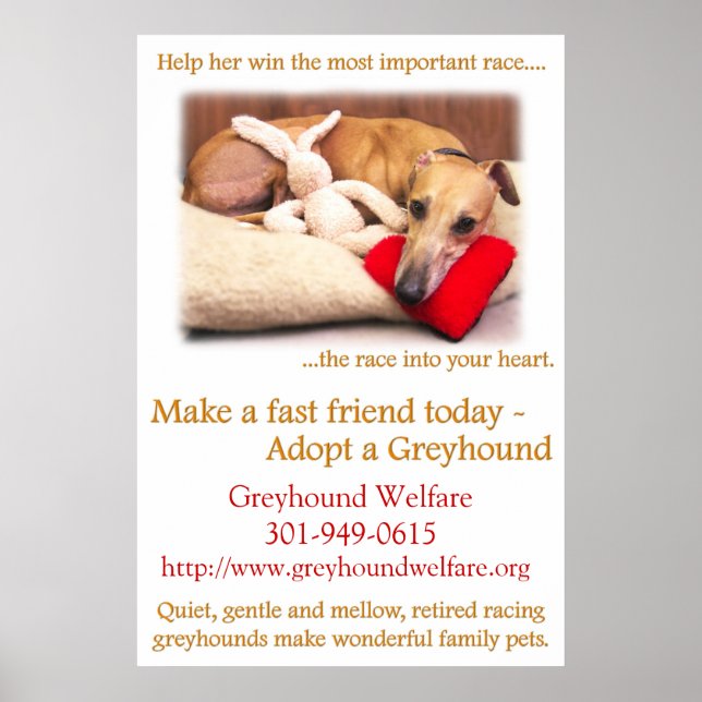 Adopt a Greyhound Poster (Front)