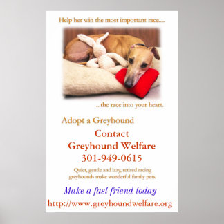 Adopt a Greyhound Poster
